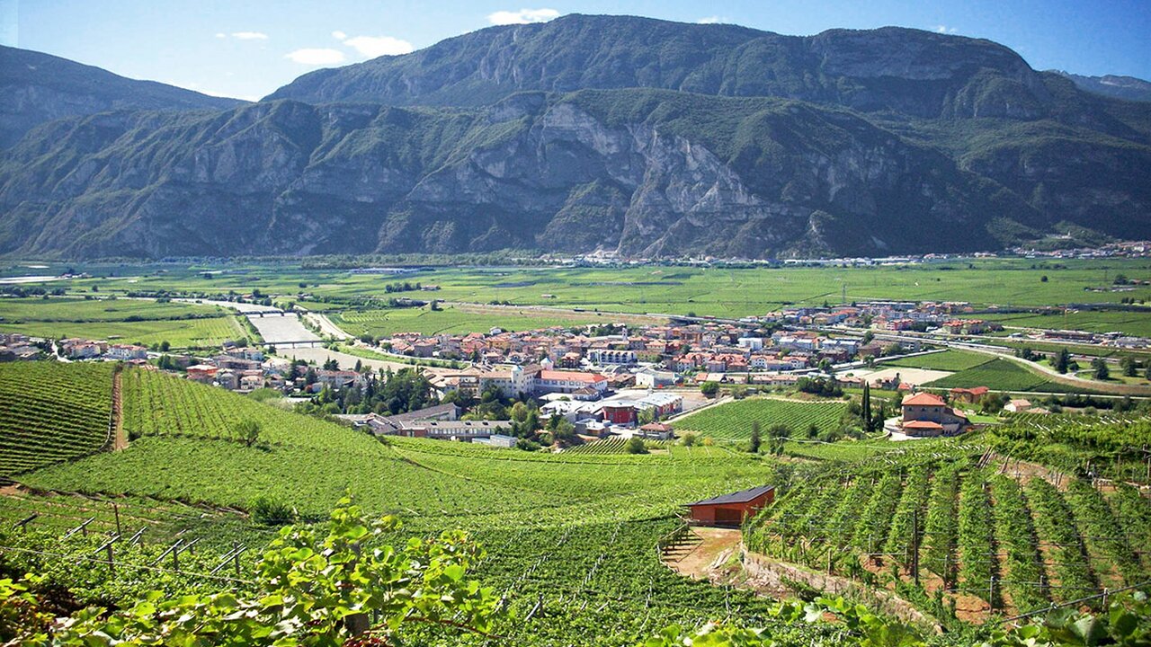 Vista dei vigneti intorno a Casa Camilla, San Michele all'Adige